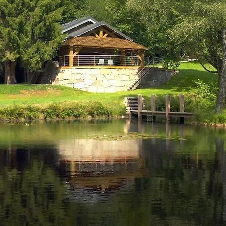 Gite L'Ilet Aux 2 Etangs Saint-Nabord Екстериор снимка