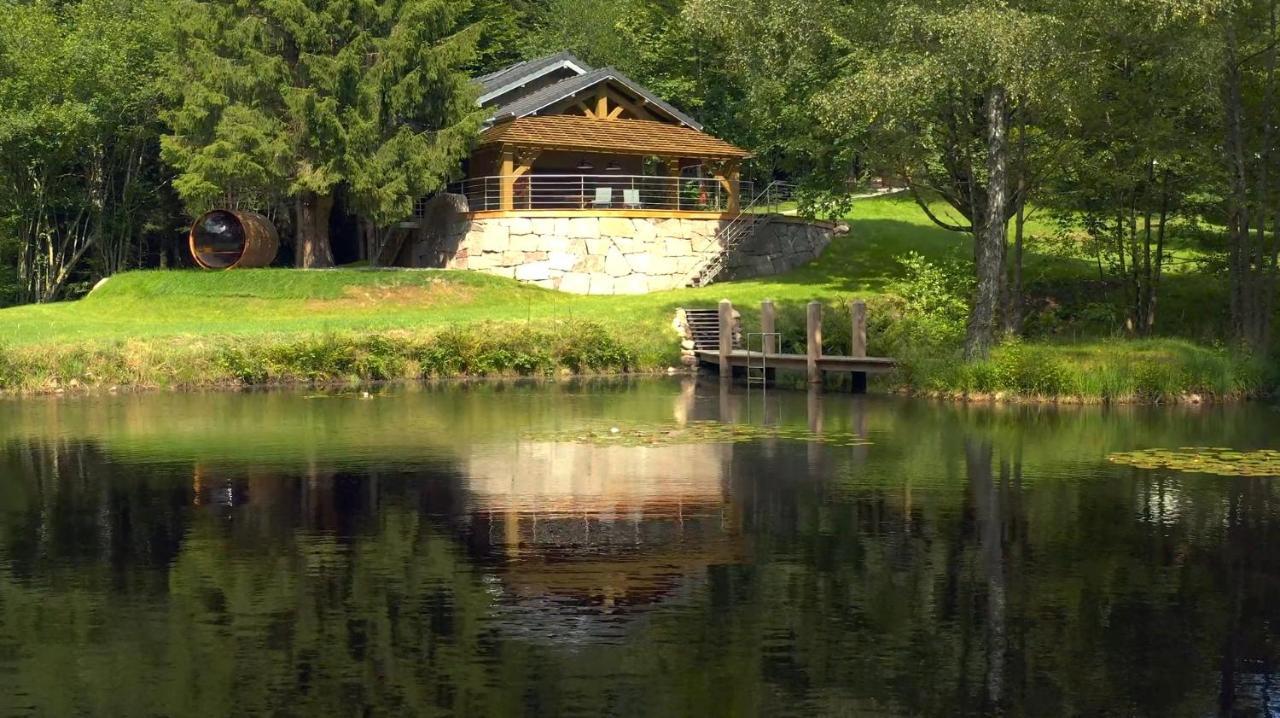 Gite L'Ilet Aux 2 Etangs Saint-Nabord Екстериор снимка
